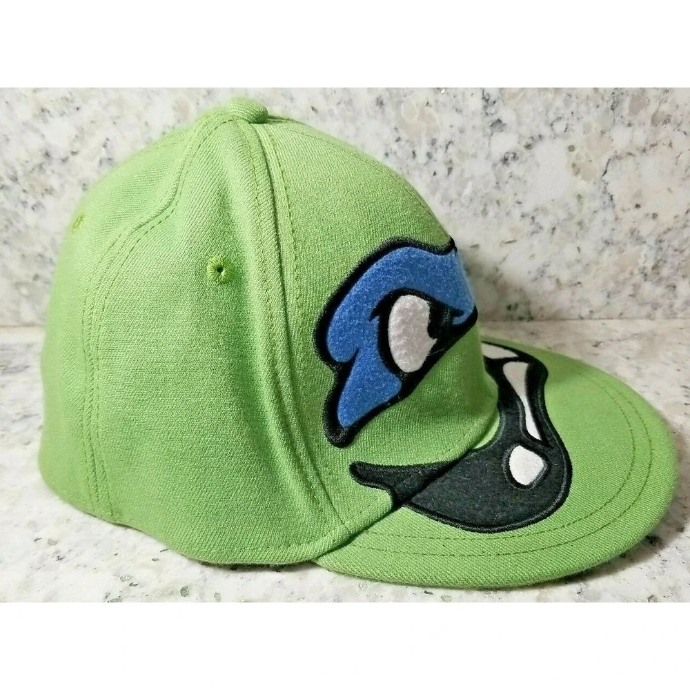 Teenage Mutant Ninja Turtles tmnt leonardo